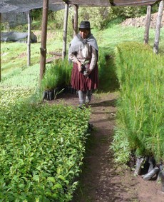 Cajamarca 2.jpg