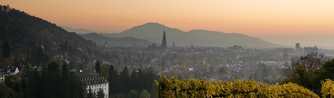 Sicht auf Freiburg