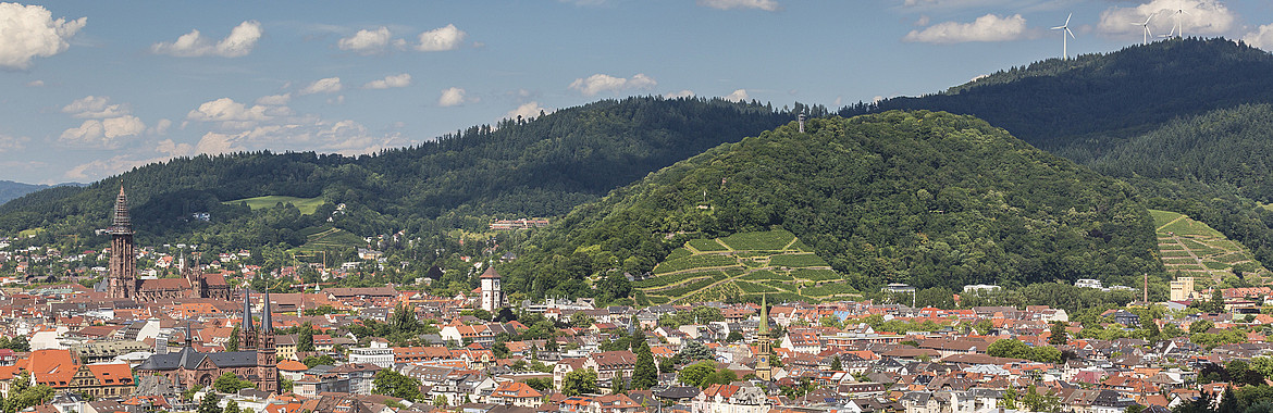 Freiburg Panorama