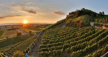 weingut-heger-weinberge-de15e2b2.jpg