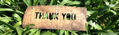 Wooden sign with the words "Thank you" between green leaves