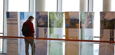 Man looking at a row of exhibition boards in front of large windows