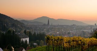 View over Freiburg with the cathedral and the hills of the Black Forest at dusk, vineyards in the foreground