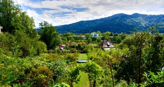 Overgrown monastery garden with vegetable beds in front of wooded hills