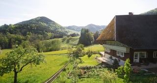 Black Forest farmhouse in a green valley with wooded hills