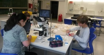 Two pupils working with microscopes in a school laboratory